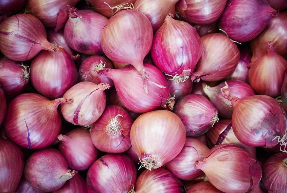 ‘Govt to allow onion import to curb price hike’