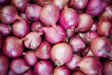 ‘Govt to allow onion import to curb price hike’