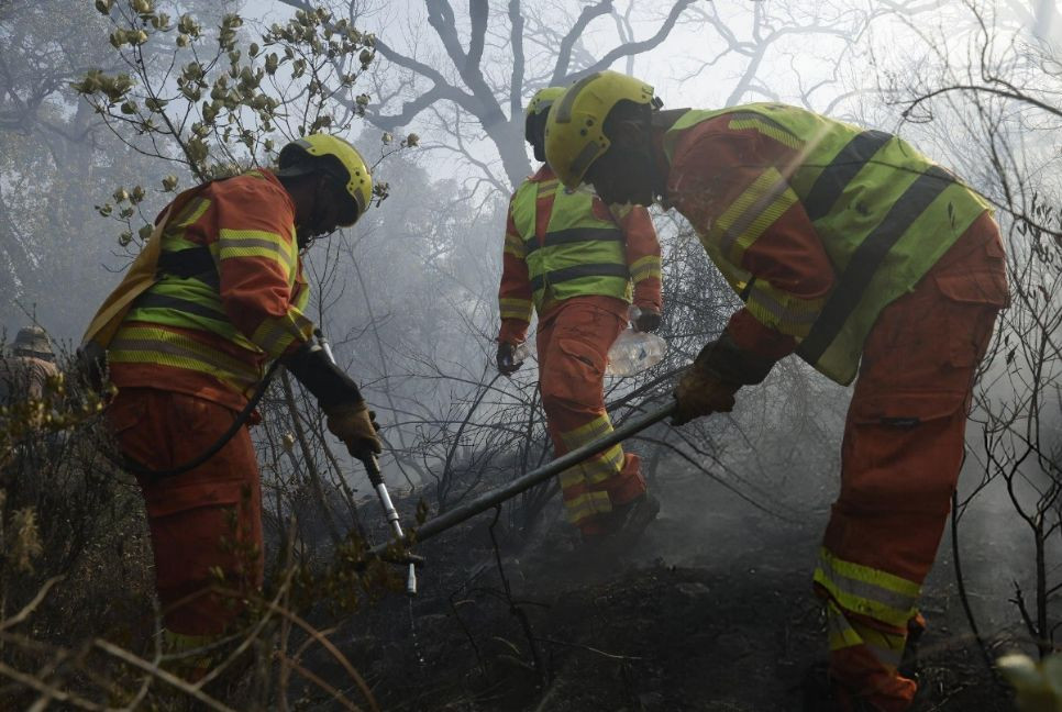 Forest fire engulfs Northern Morocco, mostly under control
