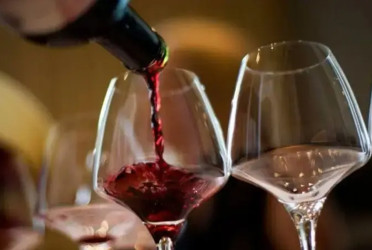 Tainted alcohol kills 13 in Kuwait: Health Ministry