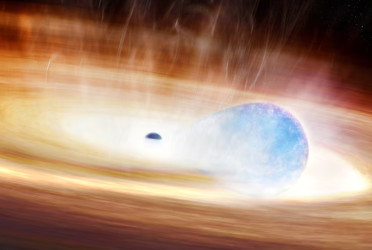 New type of supernova detected as black hole causes star to explode