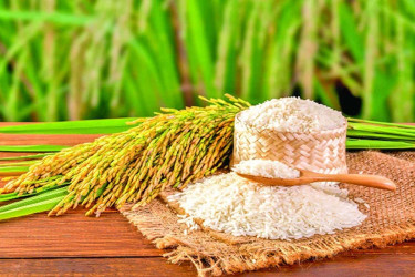 Country at risk of food security despite record imports