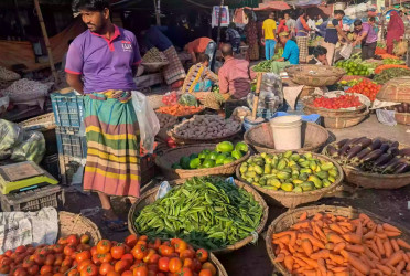 No vegetable item below Tk 80 as prices soar in Dhaka's kitchen markets