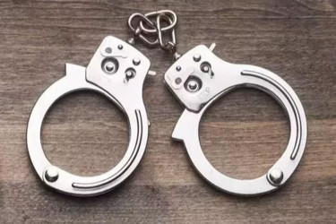 Mali arrests alleged French spy over failed coup plot