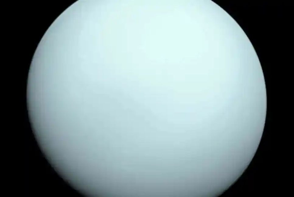 New tiny moon found around Uranus