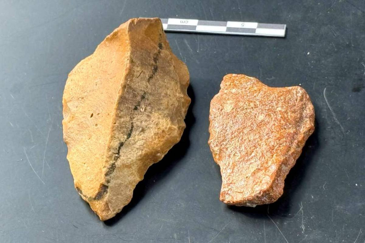Scientists discover ancient stone tools, suggesting human presence in Indonesia 1.5M years ago