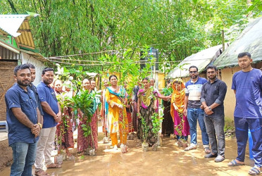 Tree saplings distributed among tribal people in Nalitabari