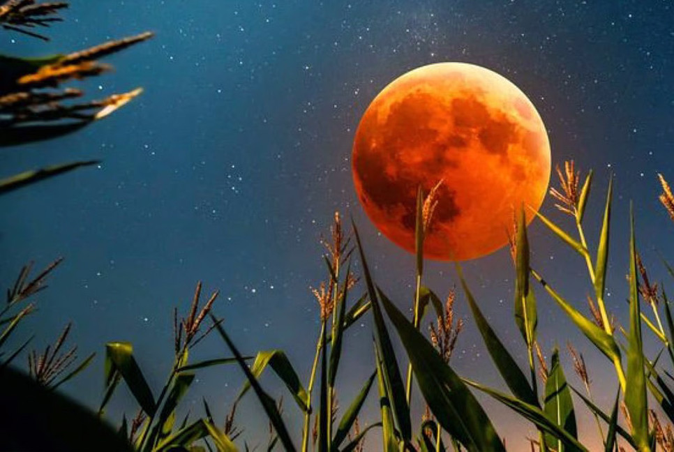 'Corn Moon' lunar eclipse to light up Bangladesh sky on September 7