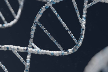 Japan's govt unveils draft plan for "World-Class Genomic Medicine"