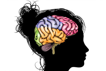 Why the brain fears loss more than gain