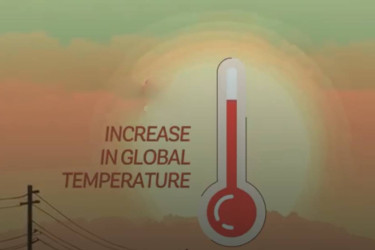 WB warns Bangladesh of rising health, economic risks due to heatwaves