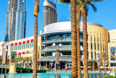 iPhone 17 launch triggers massive frenzy at Dubai Mall