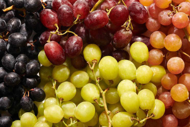 Grapes fight disease and ageing: Study