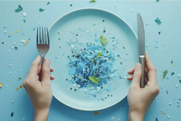 Kitchen full of microplastics: How to eat less of them