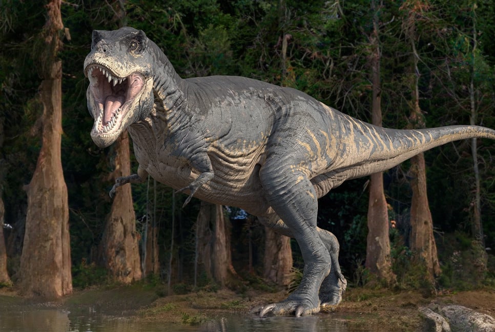 New dinosaur species 'Joaquinraptor' discovered in Argentina