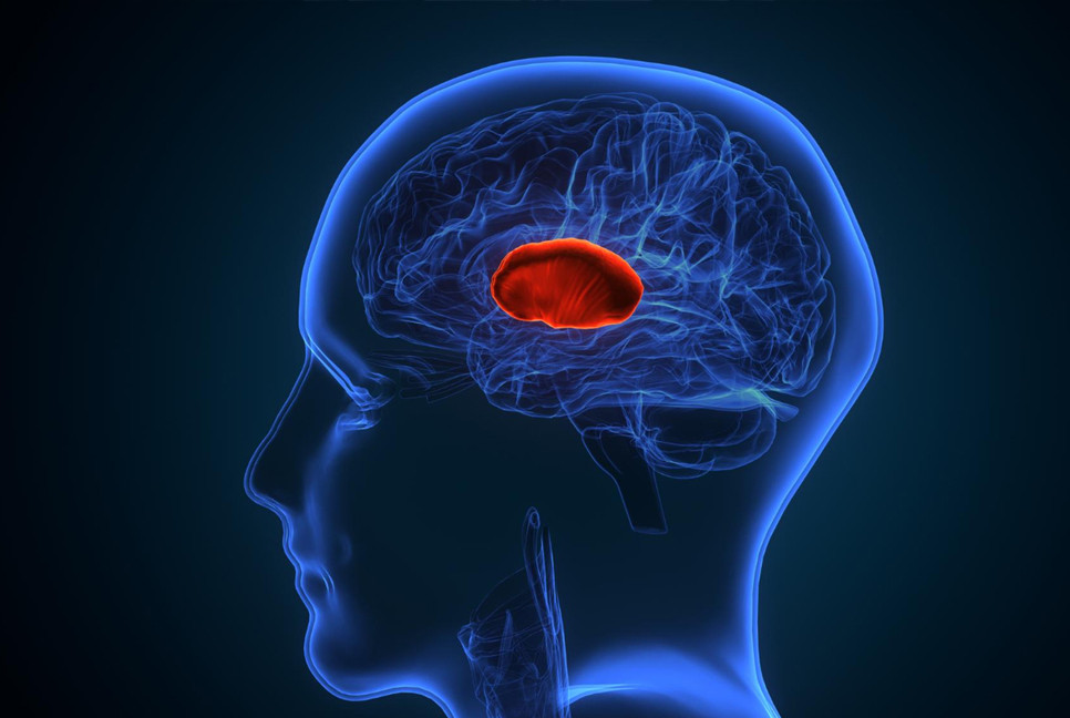 Blurry vision could be a hidden sign of a brain tumour, expert warns