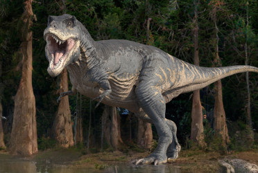 New dinosaur species 'Joaquinraptor' discovered in Argentina