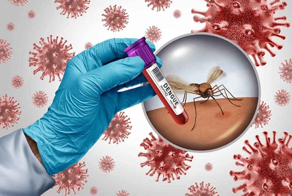 Bangladesh records world’s highest dengue fatality rate
