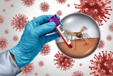 Bangladesh records world’s highest dengue fatality rate