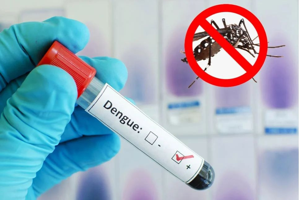 Dengue: 3 die, 700 hospitalised in 24 hrs