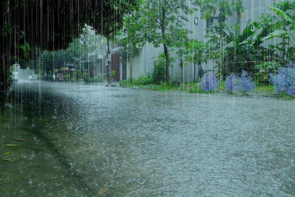 Light to moderate rain likely in parts of Bangladesh