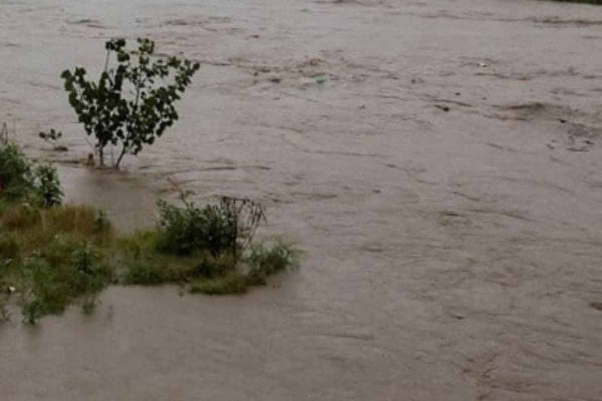 Germany sets record with €11.8B climate contribution, Bangladesh among beneficiaries