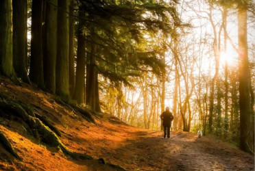How 20 minutes of nature can boost your health