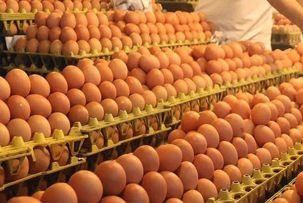 Egg production doubles in a decade
