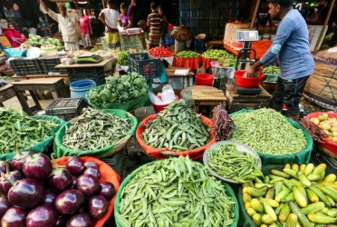 Early winter veggie glut fails to tame prices