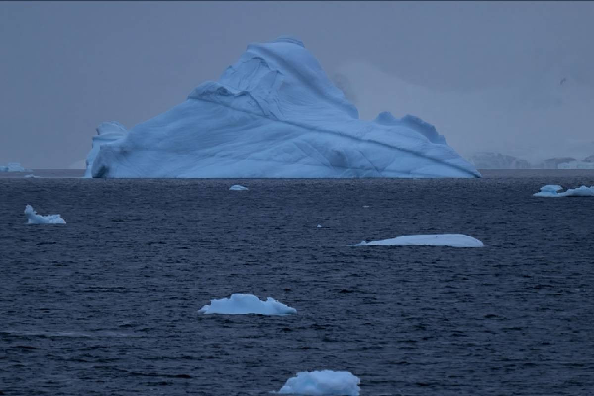 AI transforms Antarctic seafloor research with real-time species detection