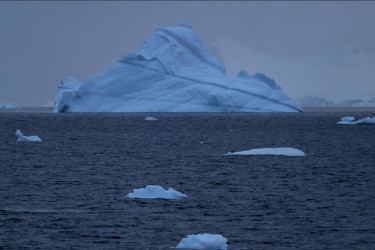 AI transforms Antarctic seafloor research with real-time species detection