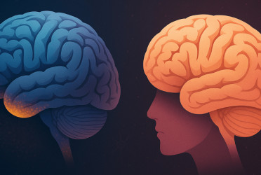Men’s brains shrink faster than women’s with age: Study