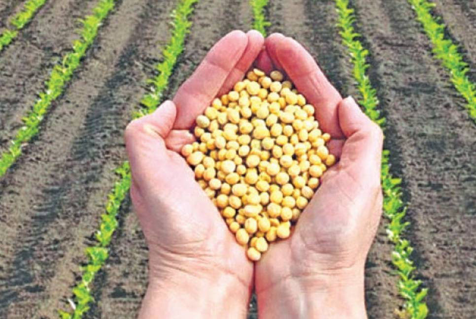 US soybean exports to Bangladesh set to triple next year