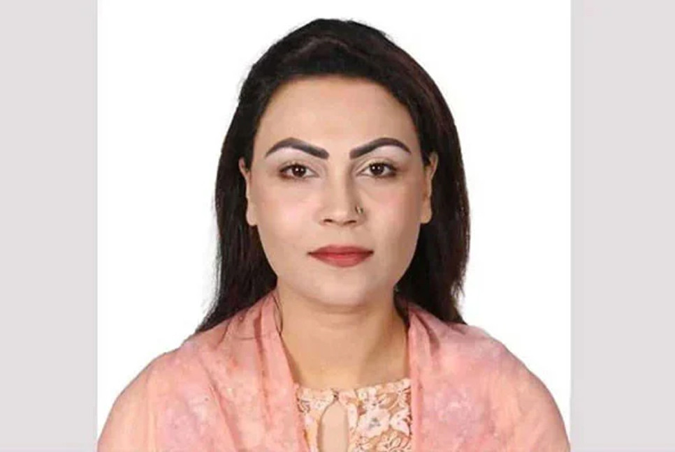 Who will bell the Cat?