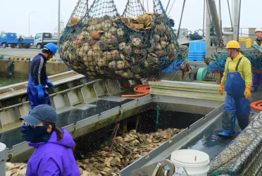 Japan resumes seafood exports to China after 2 years