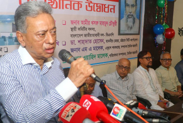 Going beyond consensus will lead to division in politics: Amir Khasru