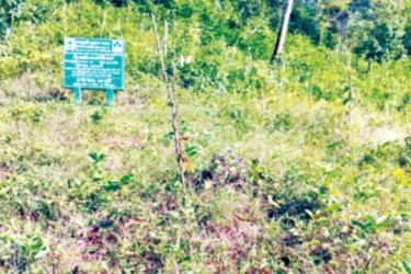 Corruption unearthed in Tk 1.5 billion Sufal project