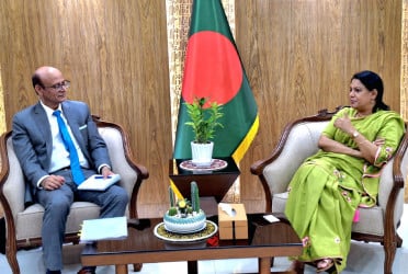 High-level ADB delegation meets Environment Adviser
