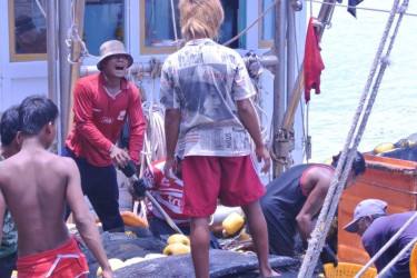 Millions in Asia forced into risky migration as livelihoods collapse: OHCHR