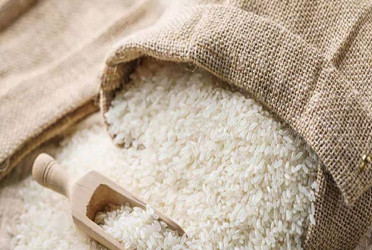 Rice biggest driver of October’s food inflation in Bangladesh: GED