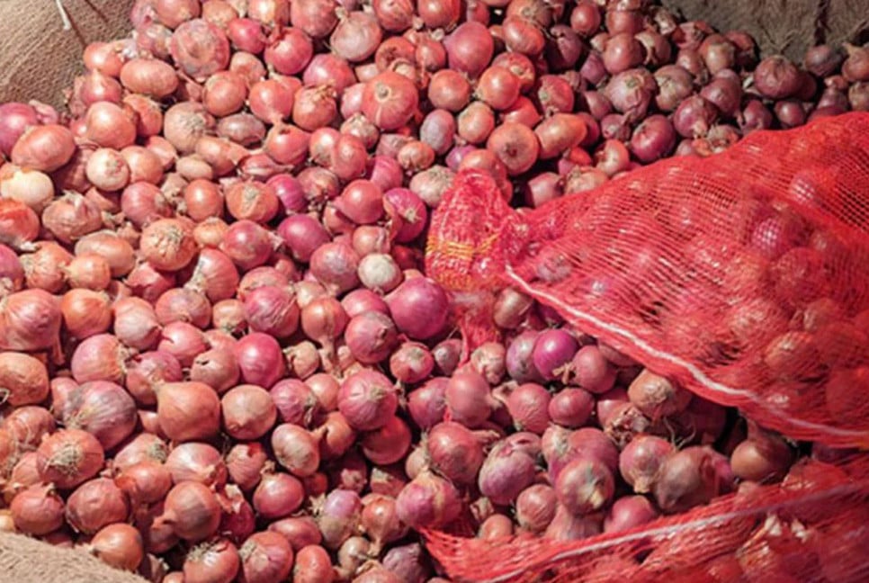 Onion prices fall after import news