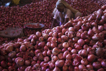 50 companies get permission to import 1,500 tonnes of onions from India