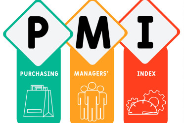 PMI slows in November as four key sectors see weaker expansion