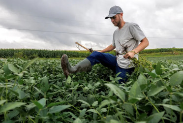 Trump announces $12bn package to aid farmers hurt by his tariffs