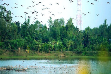 Govt to declare 4 areas in 4 dists as 'Special Biodiversity Conservation Area'