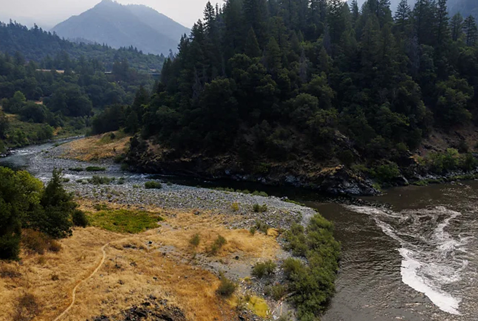 Seven quiet wins for climate and nature in 2025