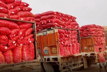 Onion imports resume at Benapole port after three months