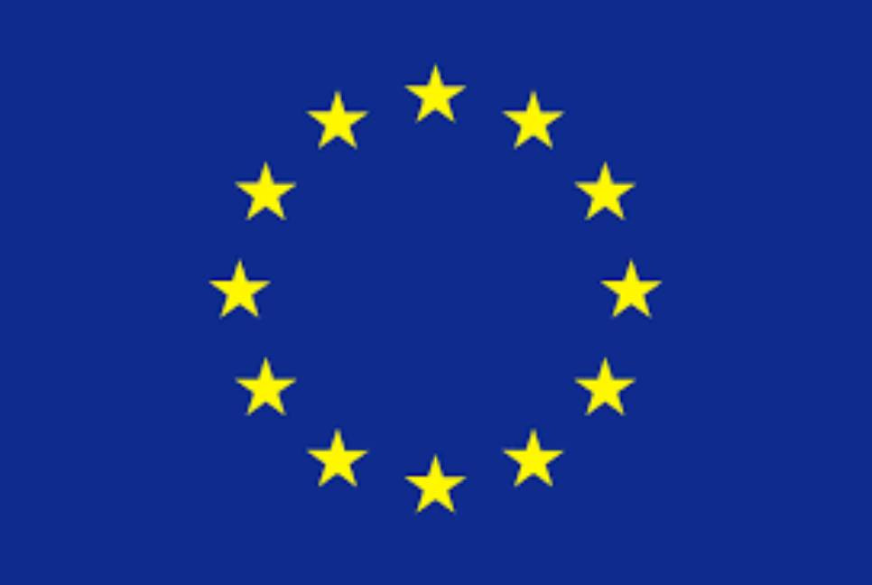 Feb 12 polls: EU supports 7 citizen election observer groups