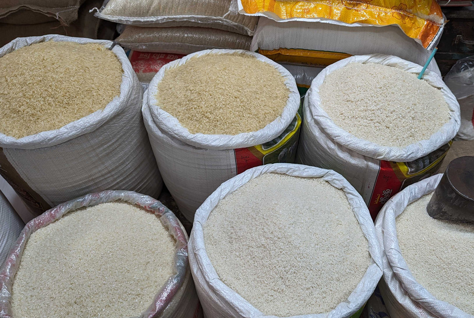 Govt approves import of 1 lakh mt rice from India, Pakistan