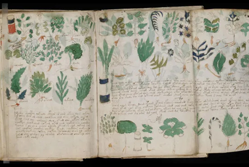 Mysterious Voynich manuscript may be a cipher, a new study suggests